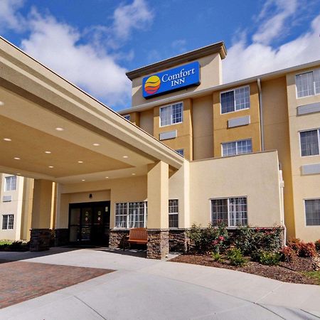 Comfort Inn Mount Airy Bagian luar foto